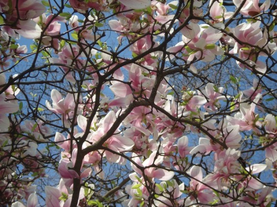 FOTOS ISABEL Bonaparte 073 - web